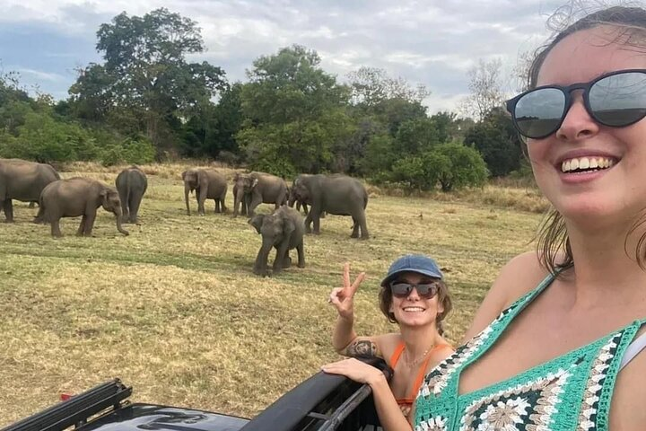 02 Days Fascinating Tour Colombo,Sigiriya,Safari,Dambulla,Kandy  - Photo 1 of 16